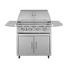 TrueFlame e-Series 25