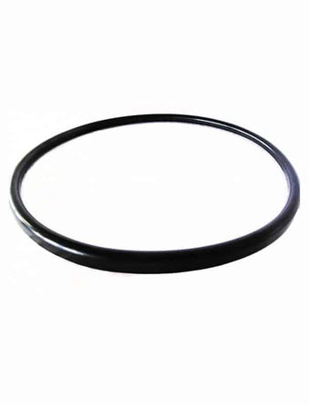 compare product Gasket For Quantum Filter | V38-221