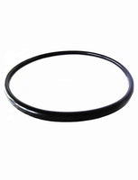 Gasket For Quantum Filter | V38-221