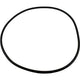 Waterway Lidtobody Oring | 805-0000