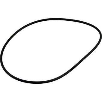 compare product Waterway Lid Oring | 805-0254