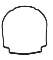 Waterway Pump Faceplate Gasket | 806-1400