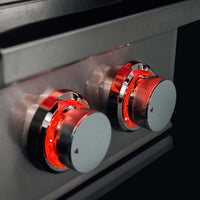 TrueFlame Double Side Burner - Liquid Propane