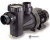Speck 95-IX Commercial Pool Pump, 5 HP – TEFC Motor, 3-Phase, 60 Hz, SF 1.15 | IG2731500F000