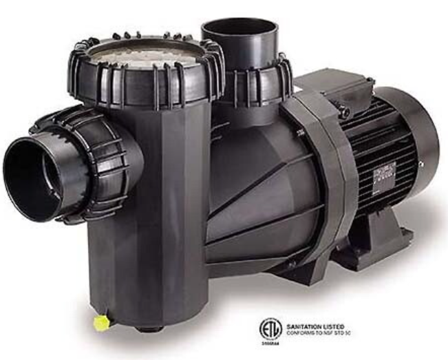 Speck 95-IX Commercial Pool Pump, 5 HP – TEFC Motor, 3-Phase, 60 Hz, SF 1.15 | IG2731500F000