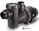 Speck 95-IX Commercial Pool Pump, 5 HP – TEFC Motor, 3-Phase, 60 Hz, SF 1.15 | IG2731500F000