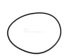 Pump Housing O-Ring For Hurricane D-2Pump | AC 81892