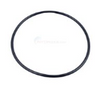 Pump Cover O-Ring For Hurricane D-2 Pump | BLUAC81922