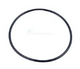 Pump Cover O-Ring For Hurricane D-2 Pump | BLUAC81922