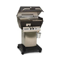 Broilmaster Qrave Grill Head Liquid Propane